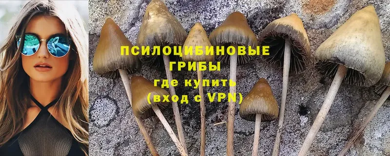 Галлюциногенные грибы Magic Shrooms  Давлеканово 